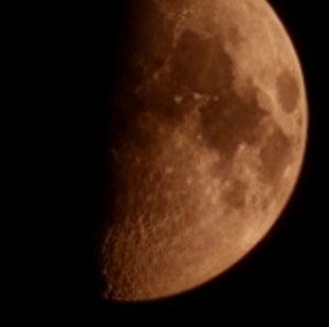 Meet your Posher, Race